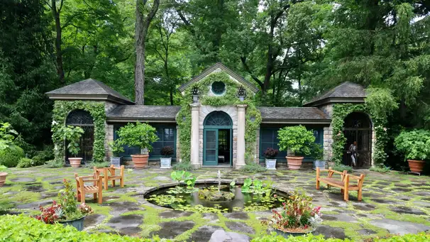 Sleepy Cat Farm, The Making of a Garden:  Four-Part Virtual Program, Part II