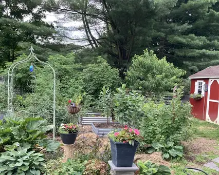 Saturday, August 16 Open Day at Rock Valley Paradise