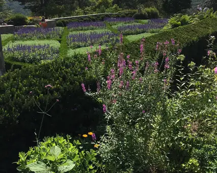Saturday, August 23 Open Day at Maywood Gardens