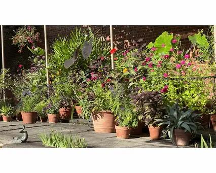 Digging Deeper: The Art of Container Gardening: Design and Care