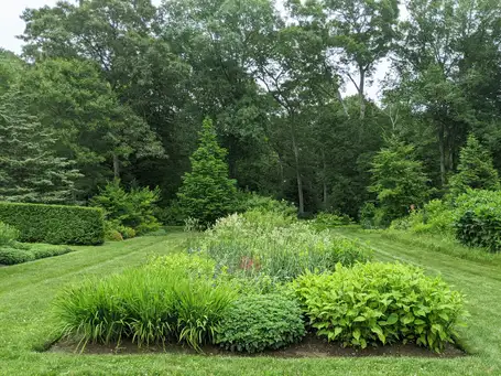 Digging Deeper: Line, Form, and Color