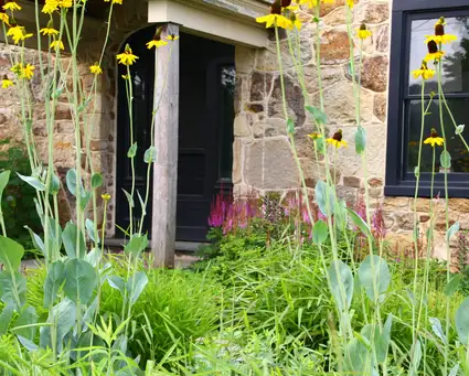 Saturday, October 11 Open Day at Donald Pell Gardens