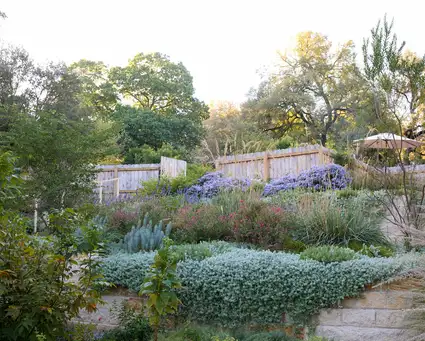 Pollinators’ Paradise