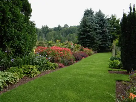 Sunday, July 20 Open Day at Old Farm Nursery Home Garden
