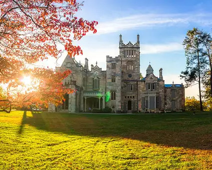 Digging Deeper: Lyndhurst Tree Tour