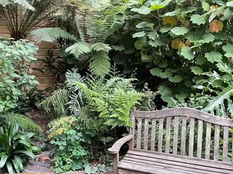 Saturday, September 6 Open Day at Bernal Heights Hidden Garden