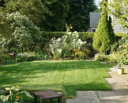 Saturday, July 19 Open Day at Gina's Garden 10AM-1PM