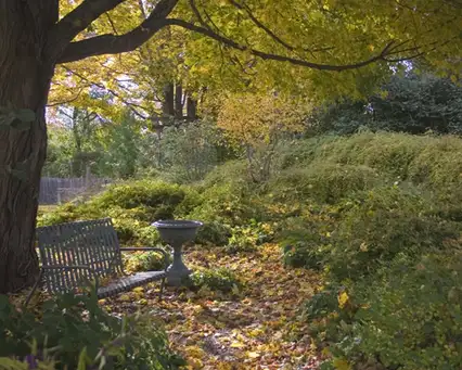 Saturday, October 18 Open Day at The Brine Garden—Duncan & Julia Brine