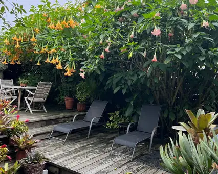 Garden of Michael Lemont and Steven Trifone