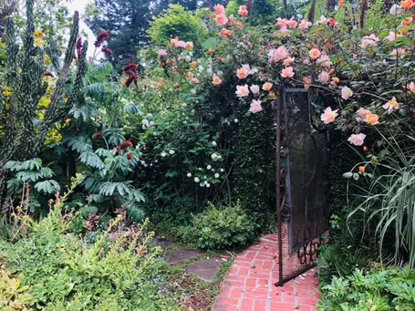 El Jardin De las Ranas