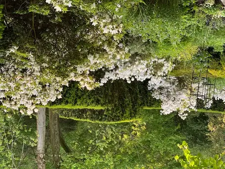 Garden of Carol & Jim Large