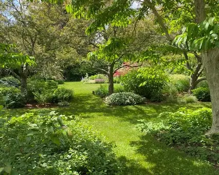 Garden of Helen Bodian