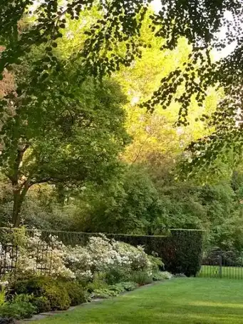 Saturday, June 6 Open Day at Garden of Carol & Jim Large