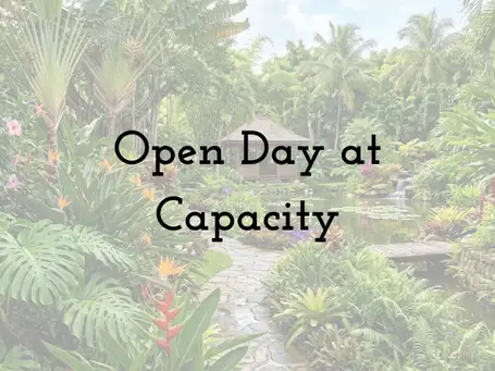 Saturday, August 22 Open Day at InSitu- Session 1