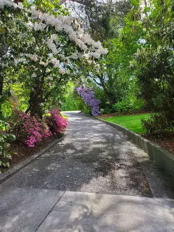 GCNN Spring Workshop: Designing Docent Programs that Engage and Inspire