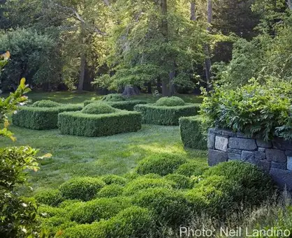 Sunday, June 1 Open Day at Garden of Kathryn Herman