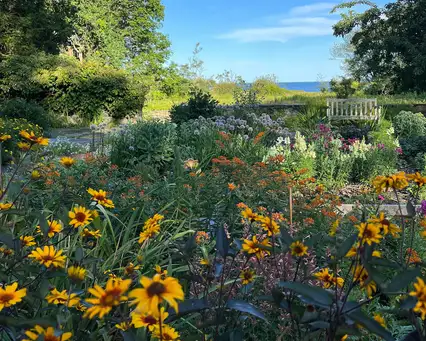 Saturday, June 27  Digging Deeper: Cultivating Creativity: An Artist’s Garden at Surf Point