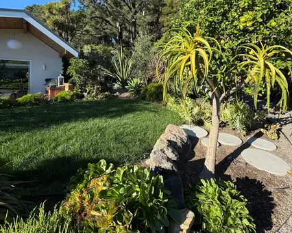 Saturday, April 24 Open Day at La Fleur Lochinvar Garden