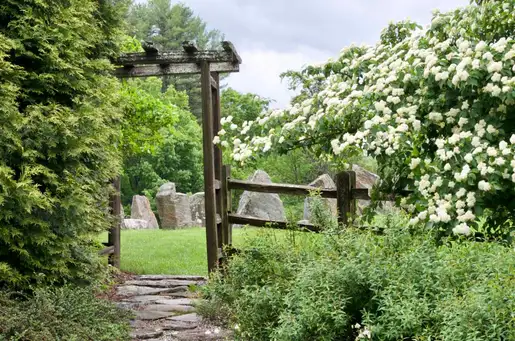 Saturday, June 20 Open Day at Distant Hill Gardens - Garden of Michael & Kathy Nerrie