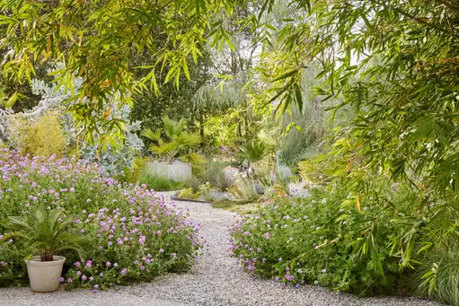 Saturday, April 18 Open Day at Las Palmas del Norte