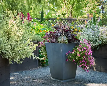 Saturday, April 18 Open Day at The Giving Garden