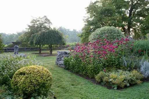 Saturday, June 13 Open Day at Garden of Jane Garmey