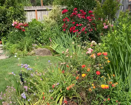 Sunday, May 3 Open Day at Bonnie's English Cottage Garden