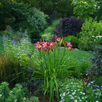 Saturday, August 1 Open Day at Idyll Haven On The Rocks