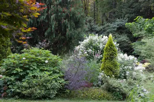 Saturday, July 25 Open Day at Hudson Garden