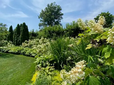 Saturday, May 31 Open Day at Prospect Gardens Westport