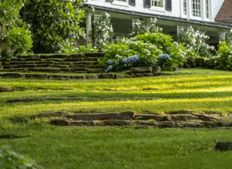 Sunday, June 7 Open Day at Chelmsford