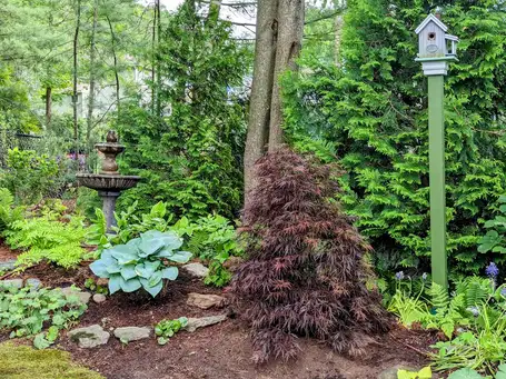 Saturday, July 18 Open Day at The Big Little Garden