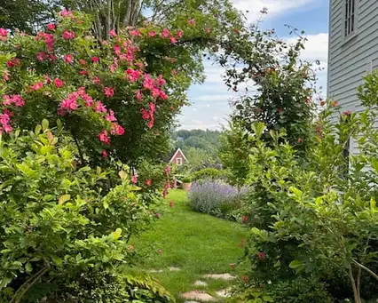 Saturday, August 15 Open Day at Hidden Pocket Garden