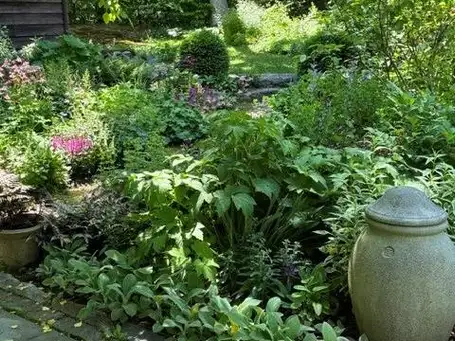 Saturday, June 27 Open Day at Roxana Robinson-Treetop