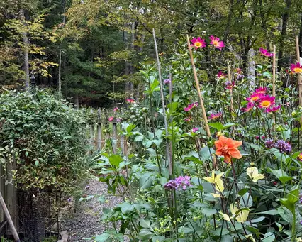 Tongore Acres