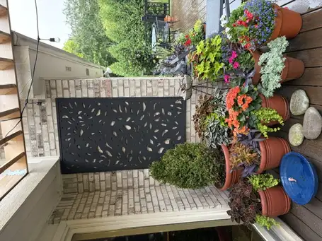 Kim's Peaceful Sanctuary