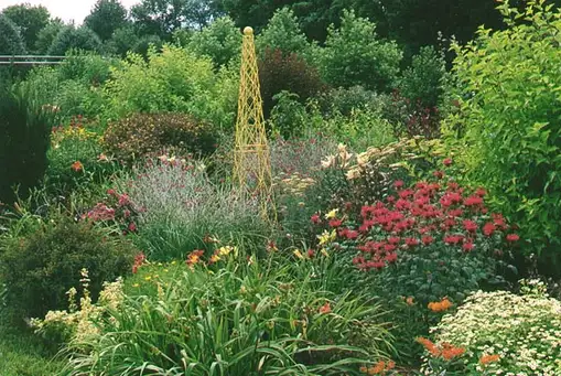 Dinsmore Garden