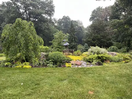 Open Day at Cynthia's Garden