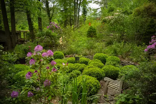 Digging Deeper: Tour of Indigenous Plants & Sustainable Land Management Practices