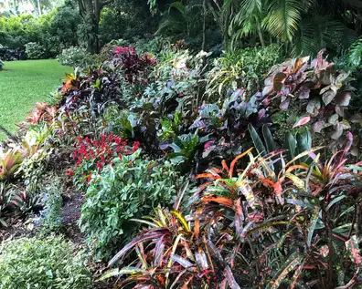 Saturday, March 7 Open Day at Hal + Sally Residence