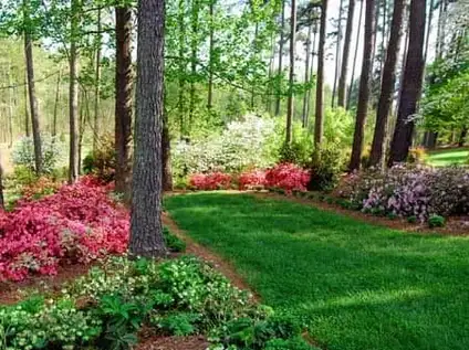 Saturday, April 12th Open Day at Forty Oaks Farm