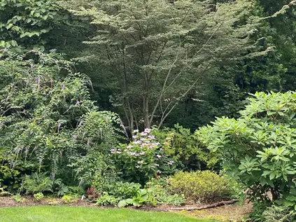 Saturday, May 10th Open Day at Glade Garden—Abby Jane Brody