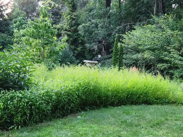 The Garden Conservancy Preservation Partner Garden