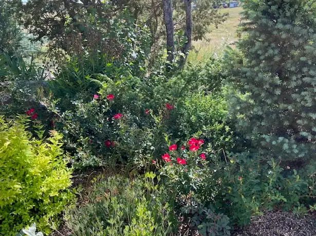 The Garden Conservancy Preservation Partner Garden