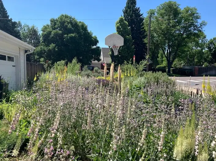 The Garden Conservancy Preservation Partner Garden