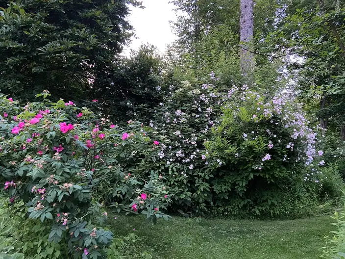 The Garden Conservancy Preservation Partner Garden