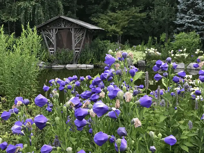 The Garden Conservancy Preservation Partner Garden