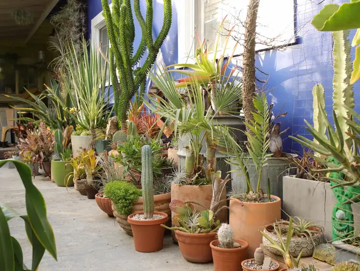 The Garden Conservancy Preservation Partner Garden