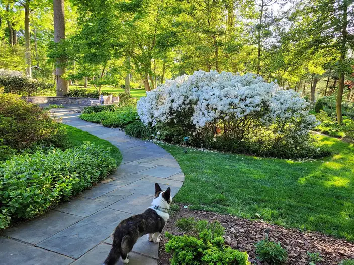 The Garden Conservancy Preservation Partner Garden