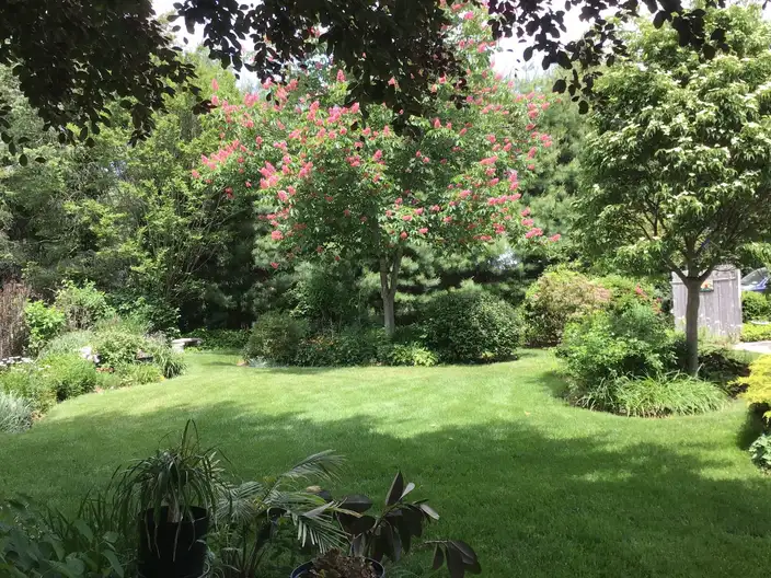 The Garden Conservancy Preservation Partner Garden